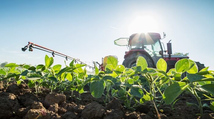 Tractor spraying soybean crops with pesticides and herbicides