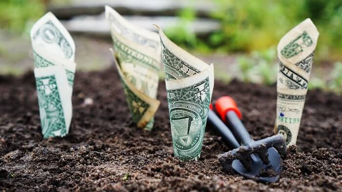 growing your practice concept- dollar bills in soil
