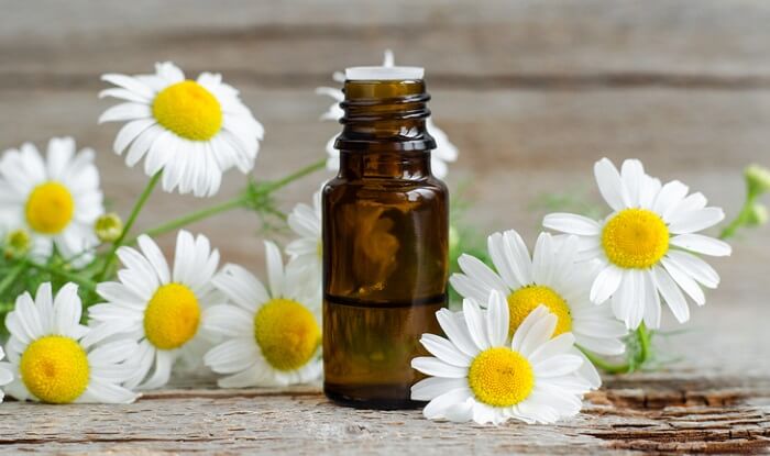 chamomile flowers and essential oil bottle on table