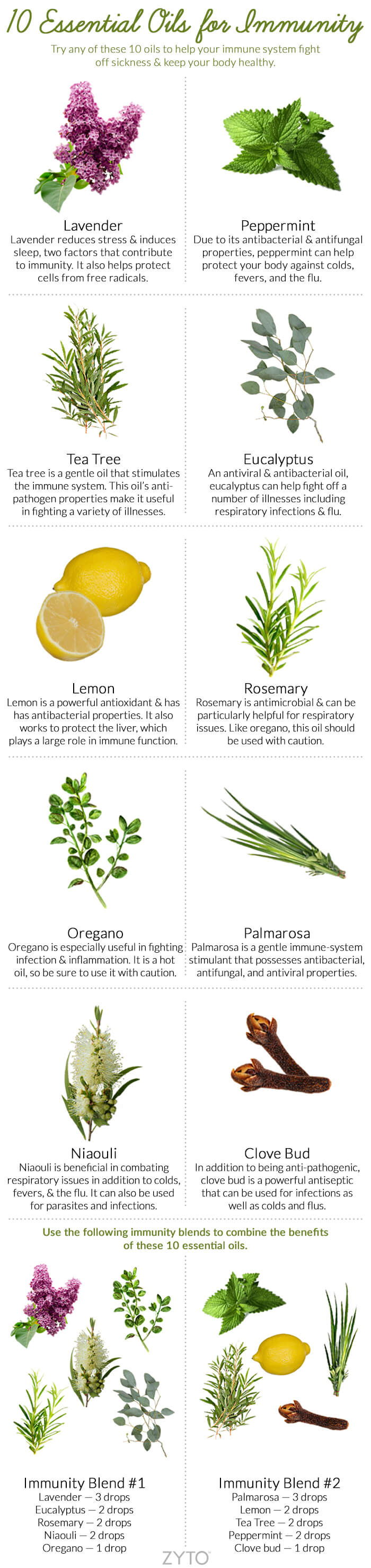 essential oils for immunity infographic