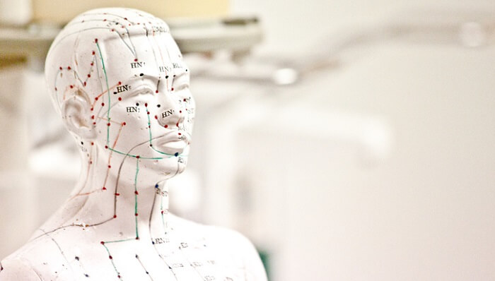 tcm meridian acupuncture points on mannequin