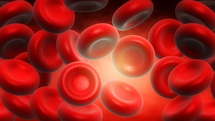 red blood cells 3d illustration