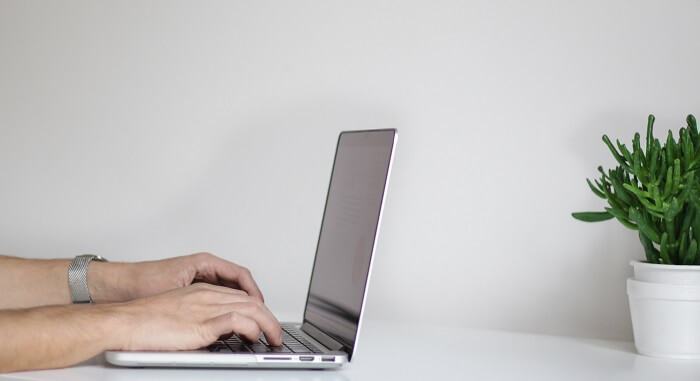 laptop next to plant on table