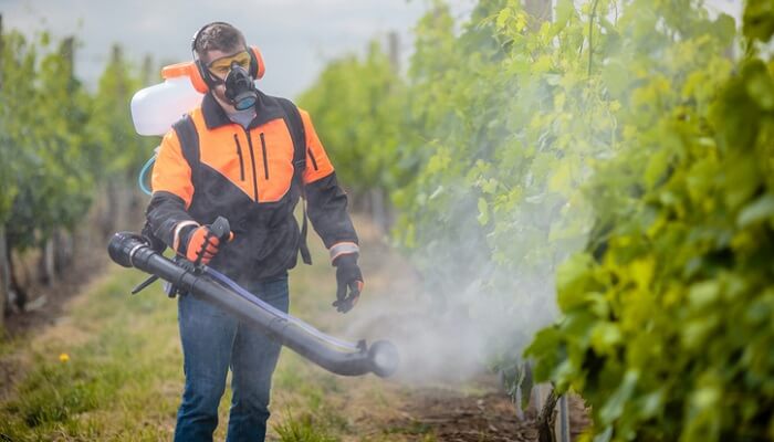 masked man spraying pesticides on plants
