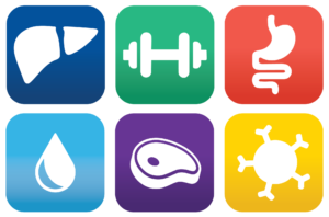wellness report icons