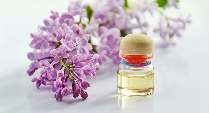 lavender flowers behind lavender oil bottle