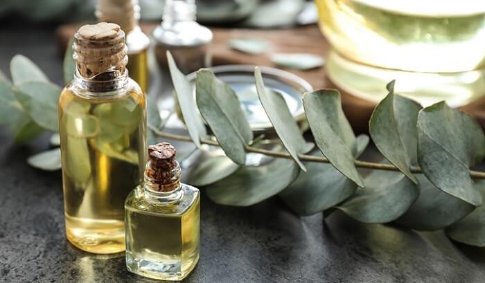 eucalyptus leaves next to clear oil bottles on table