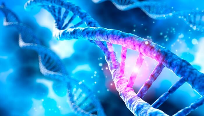 biohack mthfr gene concept - dna 3d graphic