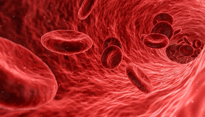 graphic of blood cells traveling in vessel