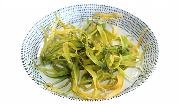 ylang ylang leaves in bowl on white background