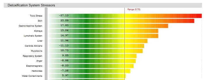 detoxification category in zyto balance report