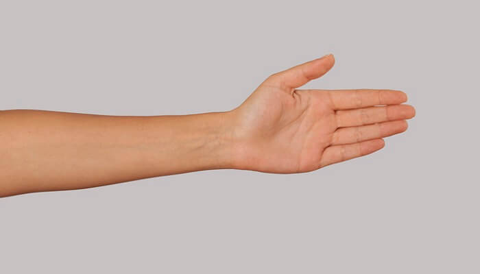 closeup of open hand and forearm