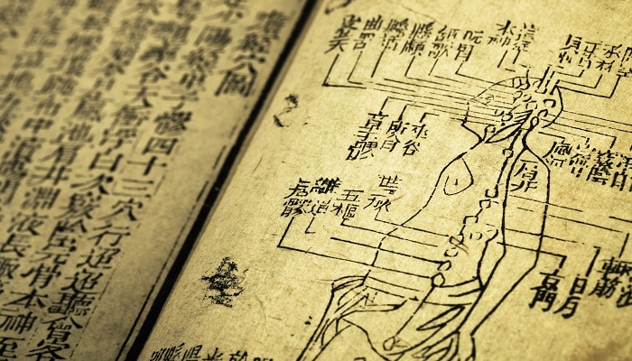 ancient text showing traditional chinese medicine meridians