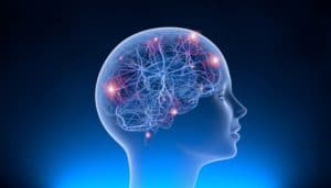 3d image of brain neural activity