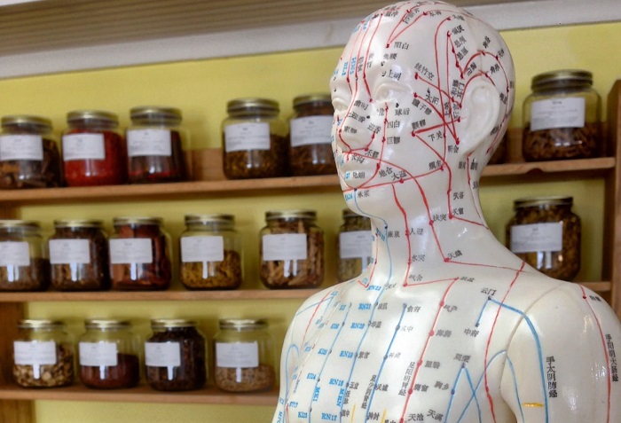 tcm meridians displayed on mannequin