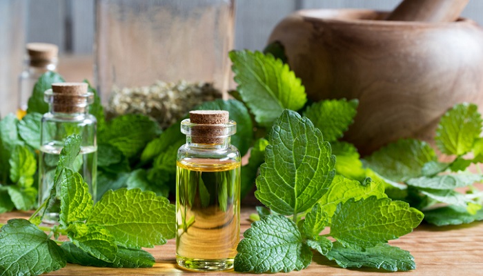 jasmine leaves and essential oil bottles