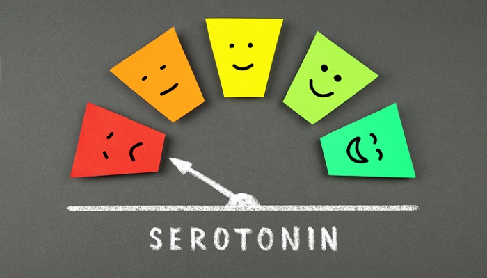 serotonin levels graphic - sad to happy gauge