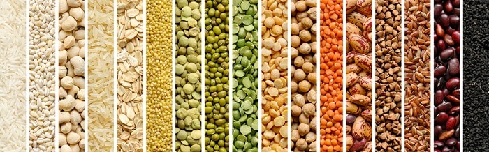 collage of plant-based proteins - nuts oats beans etcetera