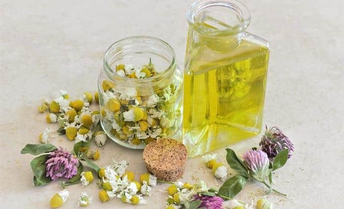 chamomile flowers next to oil bottle