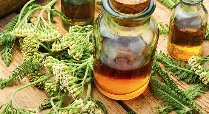 yarrow leaves and essential oil bottles
