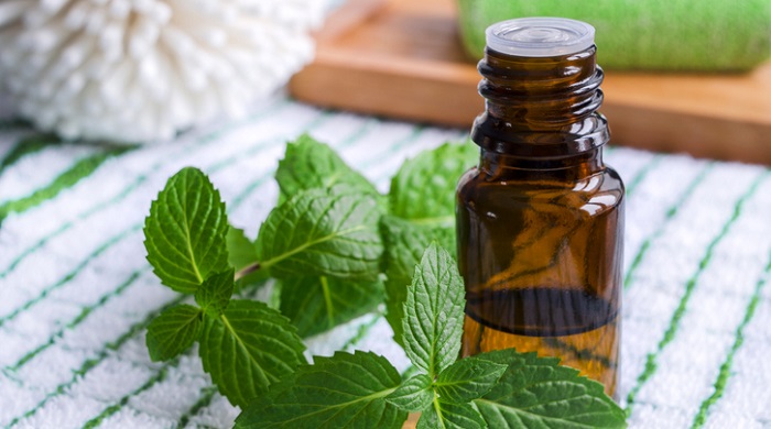 mint leaves next to essential oil bottle