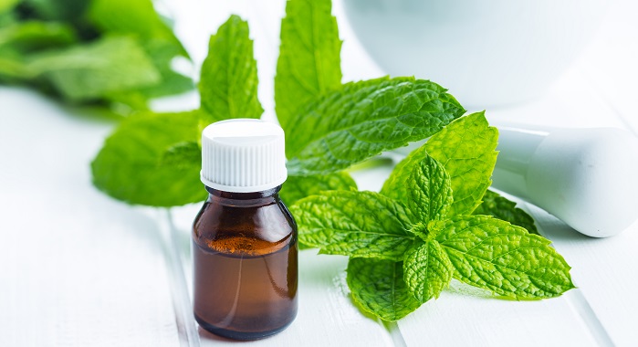 peppermint leaves and essential oil bottle