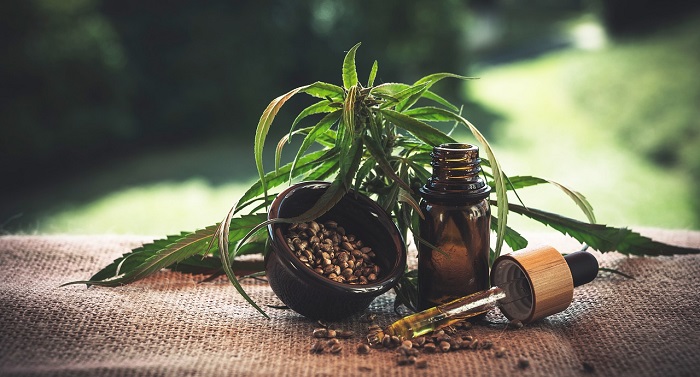 cannabis plant next to essential oil